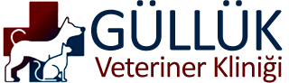 Güllük Veteriner Kliniği