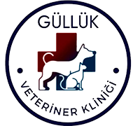 Güllük Veteriner Kliniği